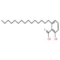 银杏酸C15:0