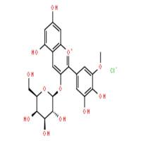 氯化矮牵牛素-3-O-半乳糖苷