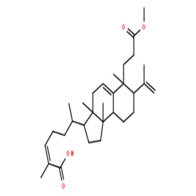 南五味子酸甲酯