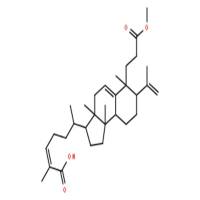 南五味子酸甲酯