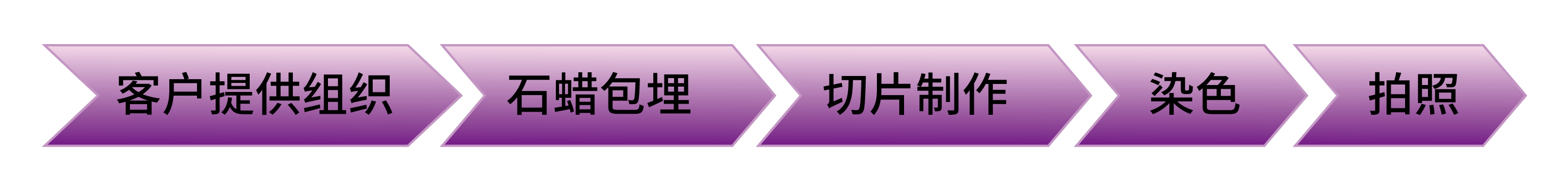 切片染色/HE/番红固绿/masson等