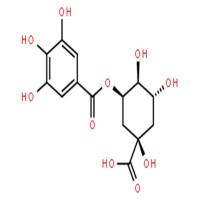 5-没食子酰基奎宁酸