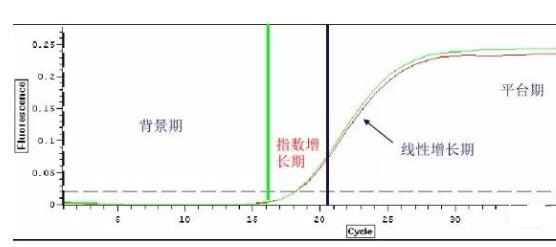 实时荧光定量PCR(qPCR)技术必看干货分享