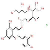 氯化失车菊素-3-O-桑布双糖苷