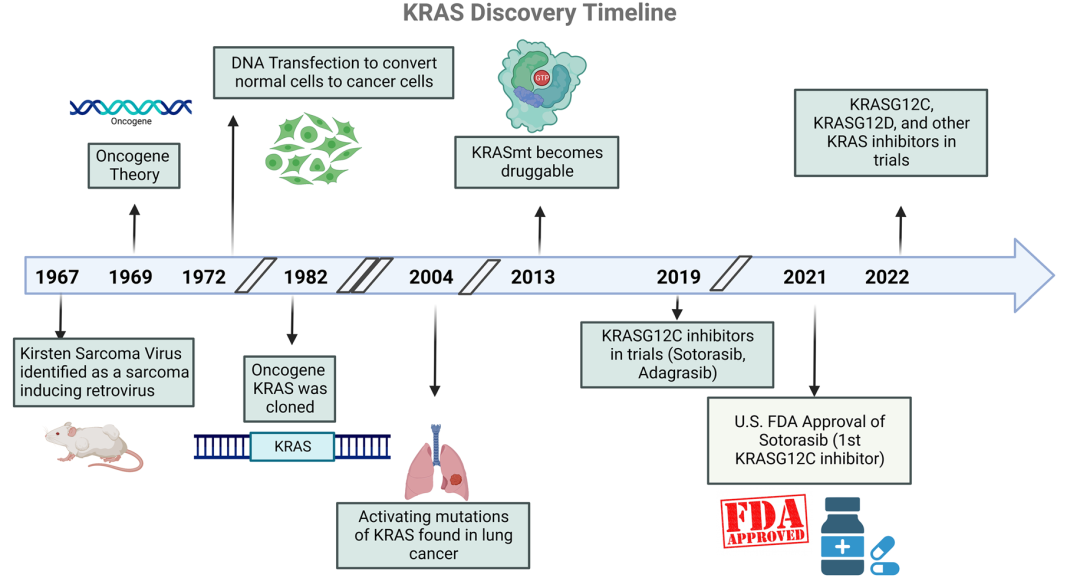 KRAS G12C：十年成药之路，医药界的荣耀与挑战
