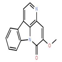 5-甲氧基铁屎米酮