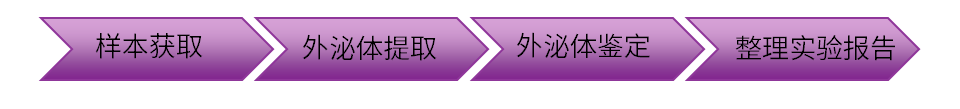 外泌体检测