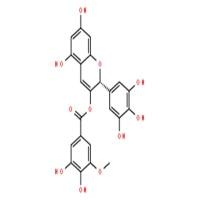 表没食子儿茶素3-O-(3''-O-甲基)没食子酸酯