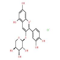 氯化矢车菊素-3-O-阿拉伯糖苷