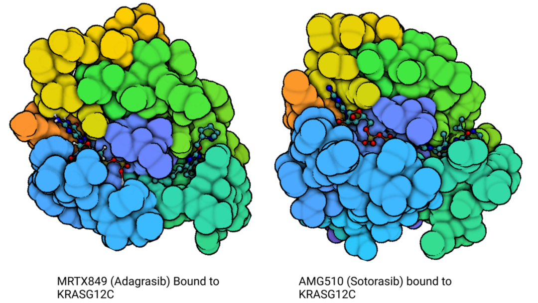 KRAS G12C：十年成药之路，医药界的荣耀与挑战