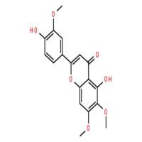 甲基条叶蓟素; 泽兰黄素