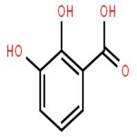 2,3-二羟基苯甲酸