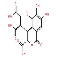 诃子次酸,诃子裂酸