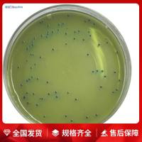 谷子不定芽再生MS培养基(含维生素、蔗糖、琼脂)常规材料