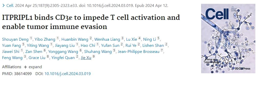 Cell| 索莱宝助力复旦大学许杰团队发现全新肿瘤免疫检查点，开启肿瘤免疫治疗新途径