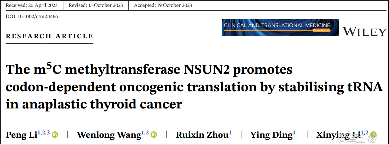 Clin Transl Med. | Ribo-seq助力挖掘间变性甲状腺癌中tRNA的表观修饰机制