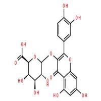 槲皮素3-O-葡萄糖酸苷