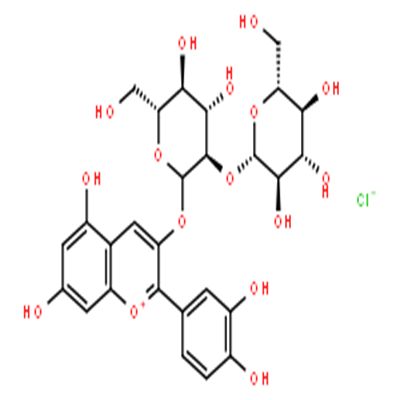 氯化矢车菊素-3-O-槐糖苷