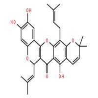 异叶波罗蜜环黄酮素