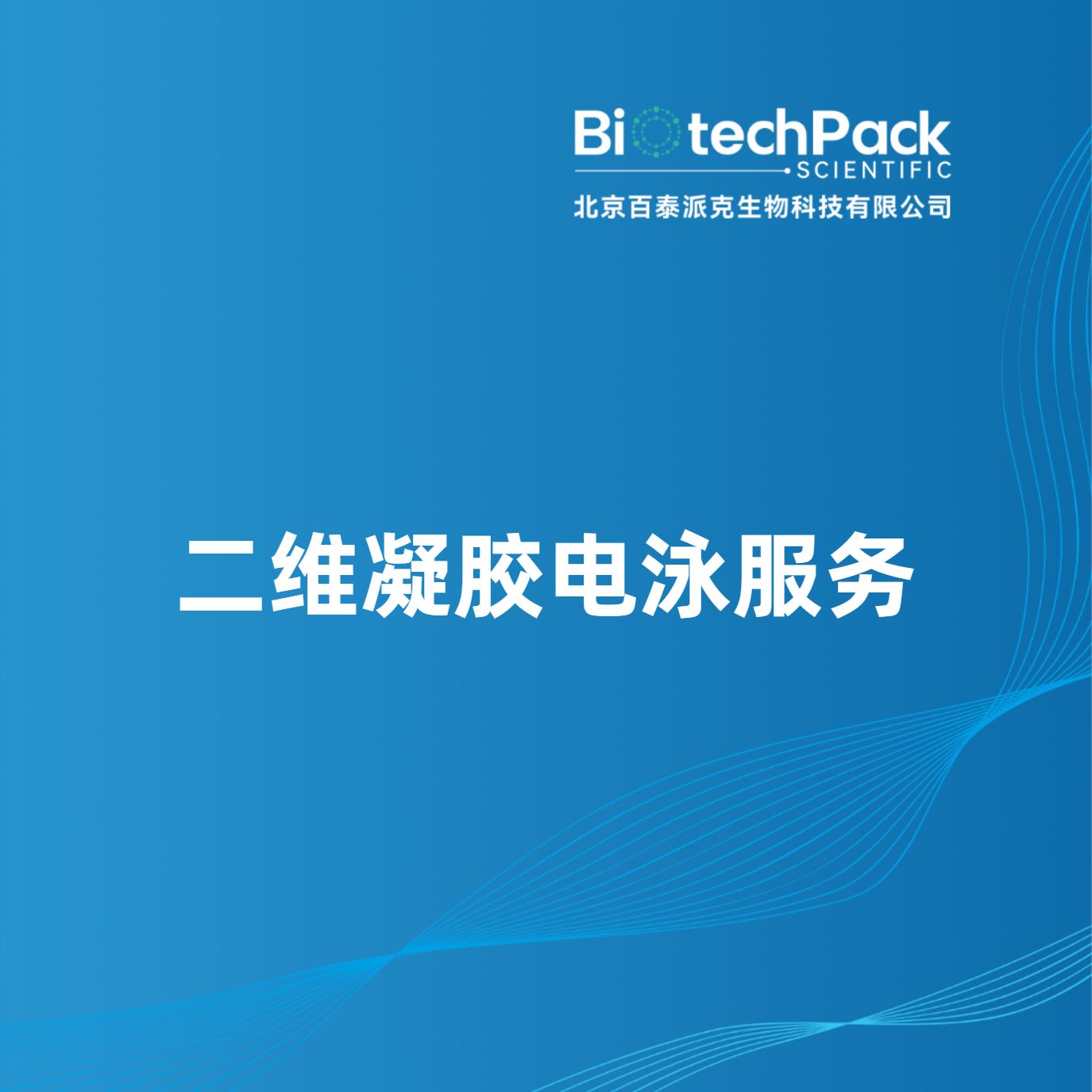 二维凝胶电泳服务产品图