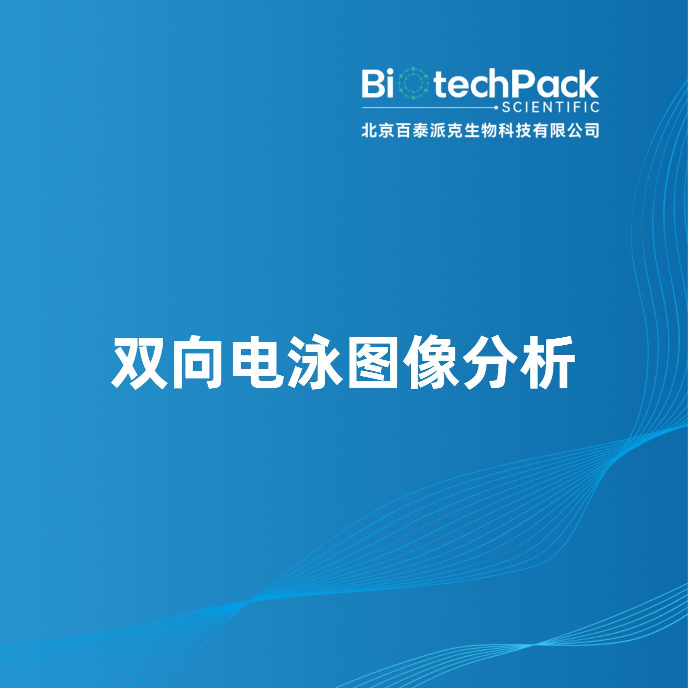 双向电泳图像分析