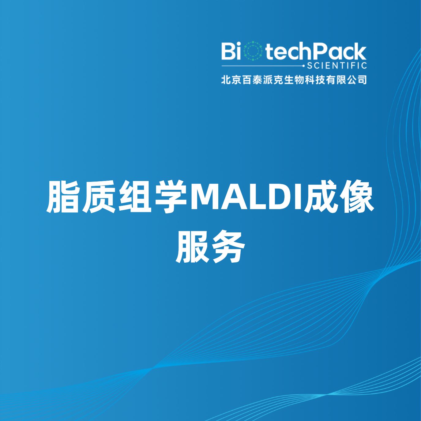 脂质组学MALDI成像服务产品图
