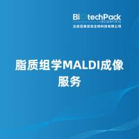 脂质组学MALDI成像服务