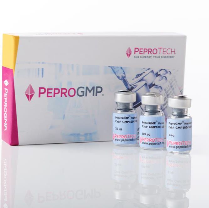 抗小鼠MIP-2(CXCL2)