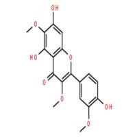 棕鳞矢车菊黄酮素