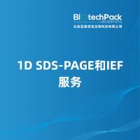 1D SDS-PAGE和IEF服务