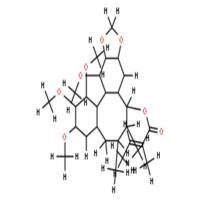 异性南五味子乙素; 异南五味子素 B
