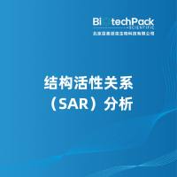 结构活性关系（SAR）分析