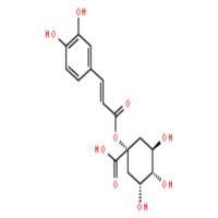1-咖啡酰奎宁酸