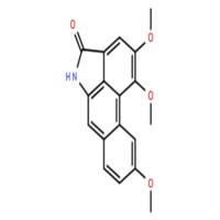 马兜铃内酰胺BIII