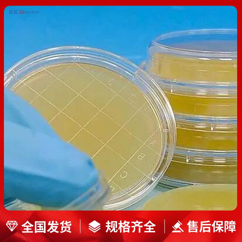 小麦营养液(干粉+浓缩液)