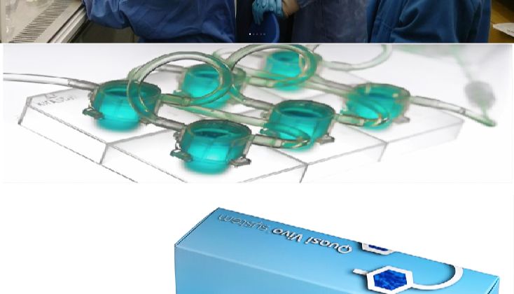 北京基尔比生物获得器官芯片制造商Kirkstall中国dujia总代理权