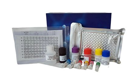 江西江蓝纯生物MDCK(NBL-2)完全培养基夏日盛惠