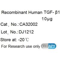 Recombinant Human TGF-beta1