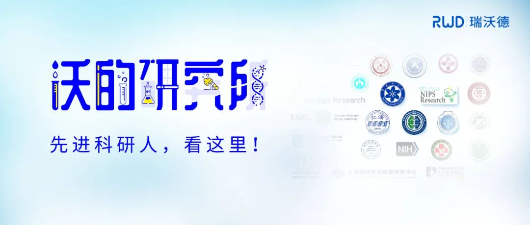 科研攻坚不停歇！华东师大袁小兵/潘逸萱课题组揭示先天恐高反应神经机制