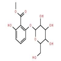 6-(beta-D-吡喃葡萄糖氧基)水杨酸甲酯