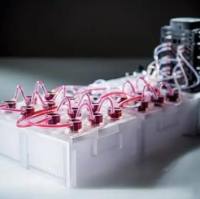 Kirkstall Quasi Vivo 细胞培养系统