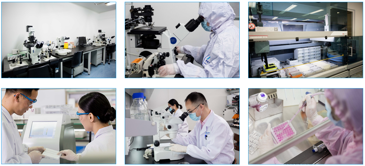 【科技创新券使用指南】选择南模生物，最高可享50%补贴