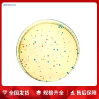 SD肉汤培养基(三缺His/Leu/Ura)