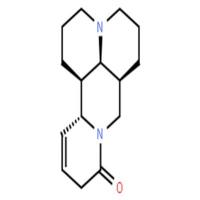 12,13-去氢苦参碱
