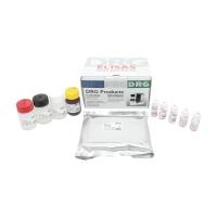 人生长激素（HGH）检测试剂盒