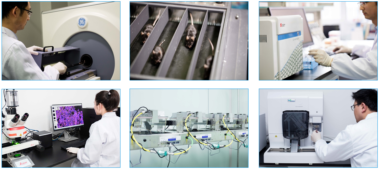 【科技创新券使用指南】选择南模生物，最高可享50%补贴