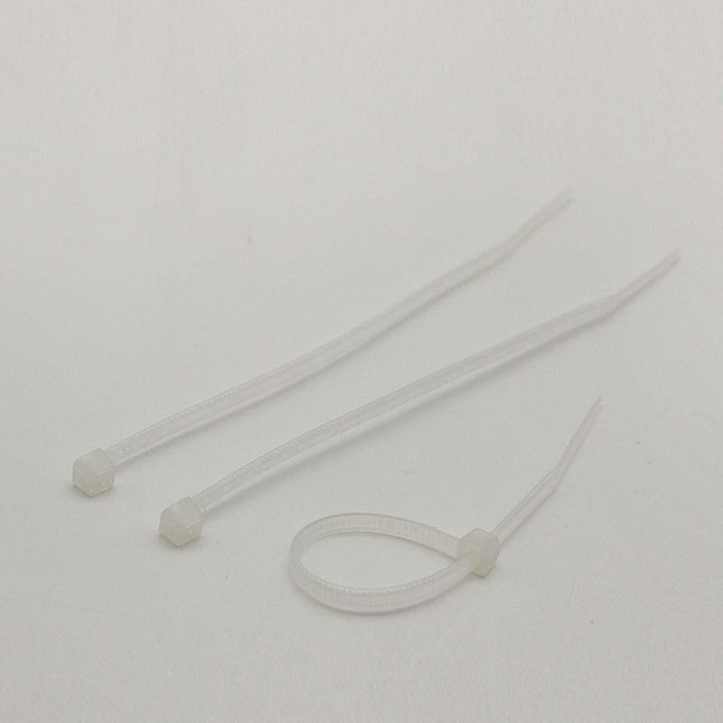 自锁扎带,宽×长: 2.5×100mm;包装: 10×100个,芯硅谷