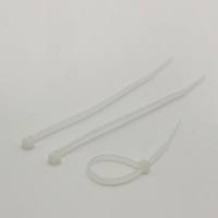 自锁扎带，宽×长: 2.5×100mm;包装: 10×100个，芯硅谷