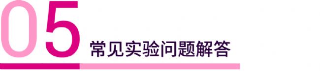 实验操作 | 质粒构建、转化、提取、鉴定、转染、测定(完整版)| MedChemExpress (MCE)