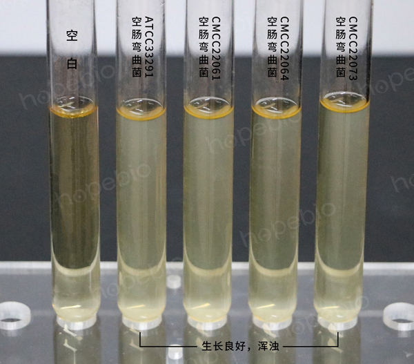 布氏肉汤培养基的使用原理及方法